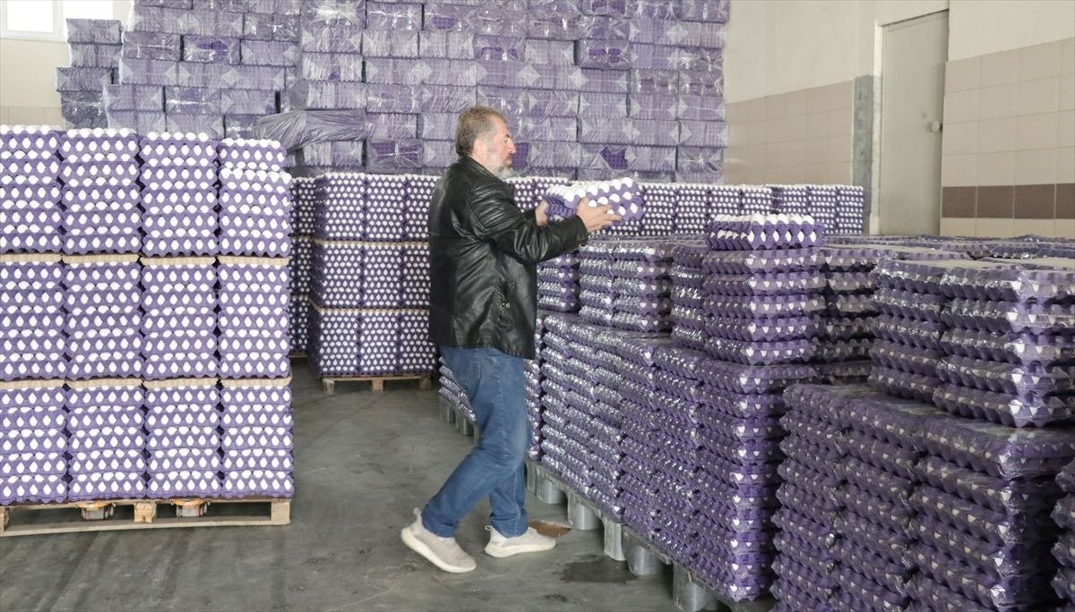 Yumurta İhracatında Kota Artışı: Sektöre "Mayıs Çukuru" Öncesi 5 Bin Tonluk Nefes